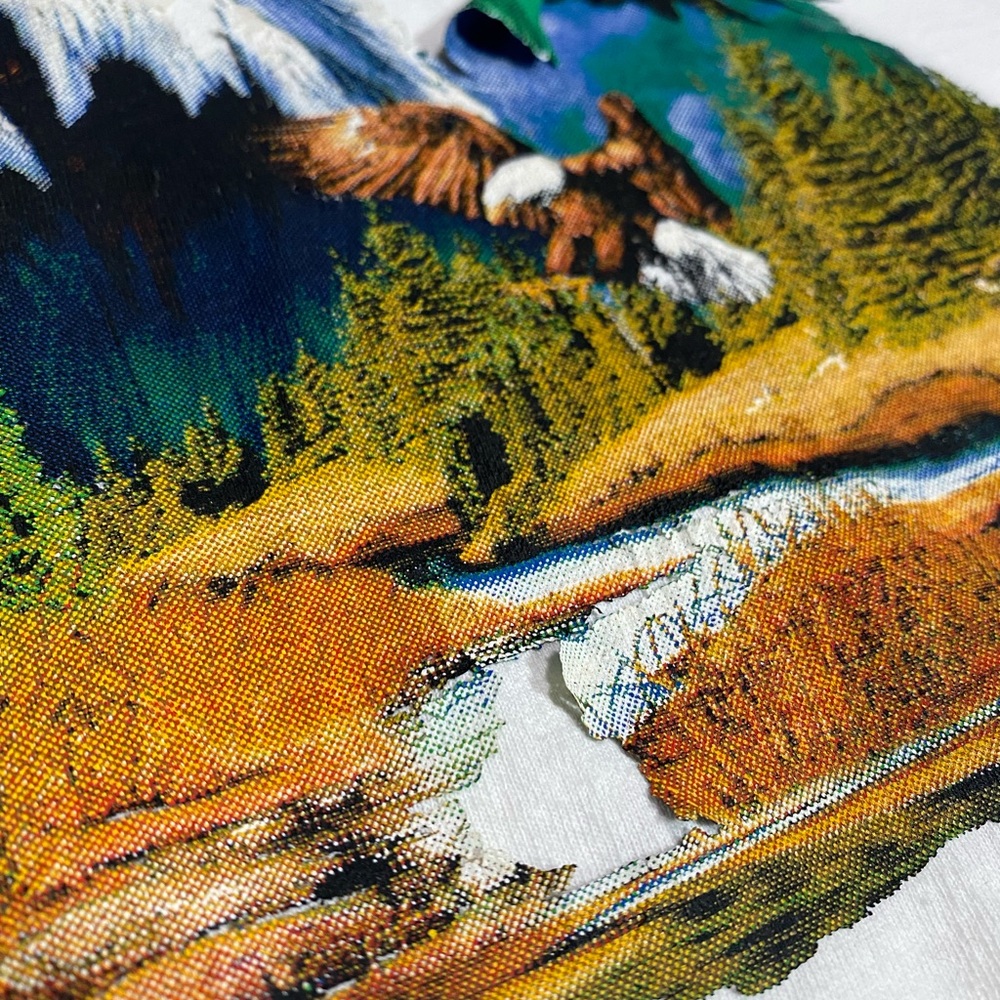 VINTAGE EAGLE TEE 🎸